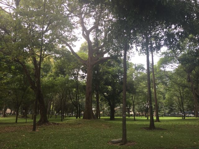 통일궁