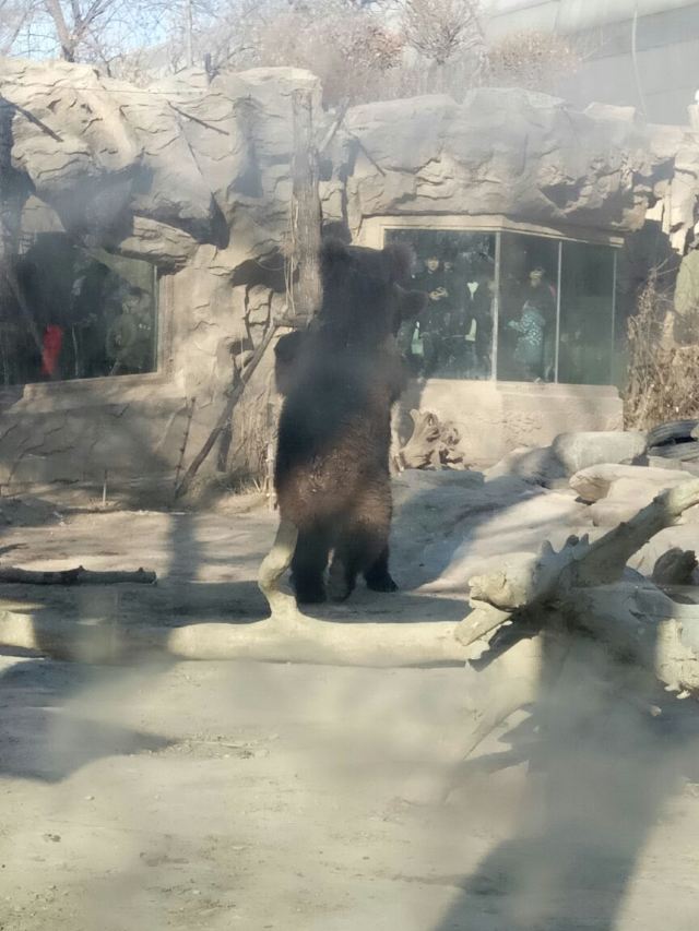 Beijing Zoo