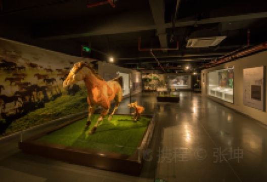 生命奥秘博物馆景点图片