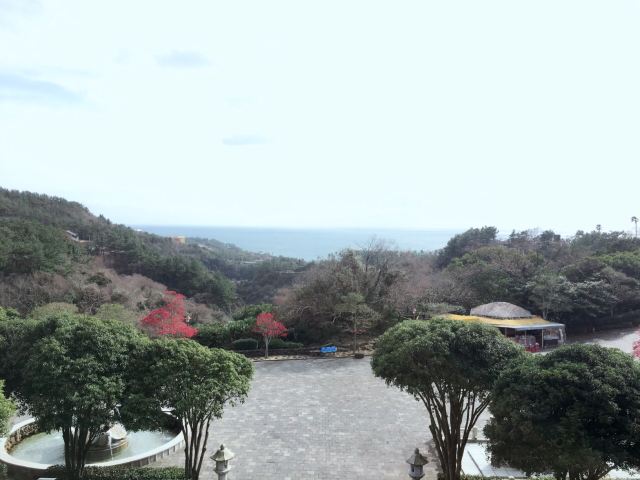 천지연 폭포