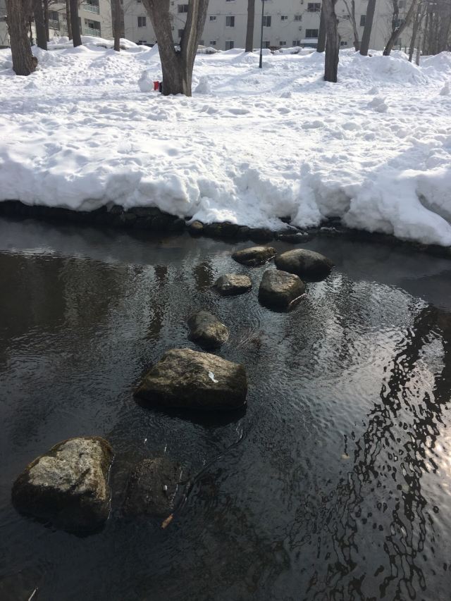 北海道大學