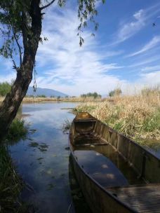 马久邑村-大理市-爱一切美好