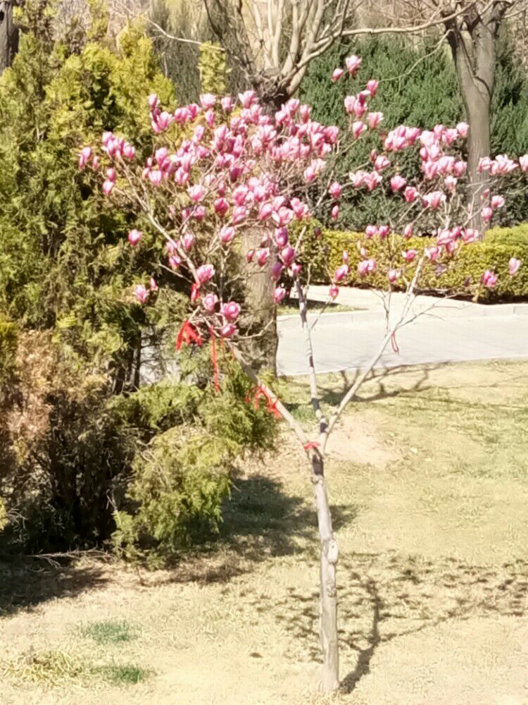 河北娲皇宫一日游！