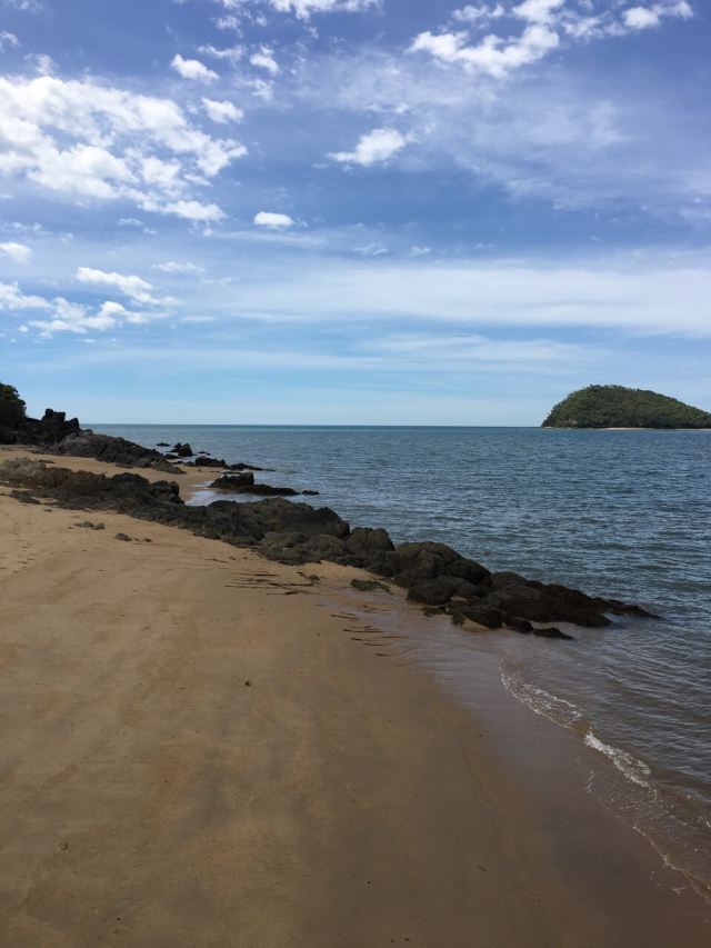 Palm Cove