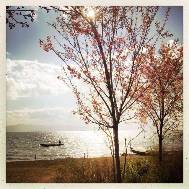 Fuxian Lake Scenic Area