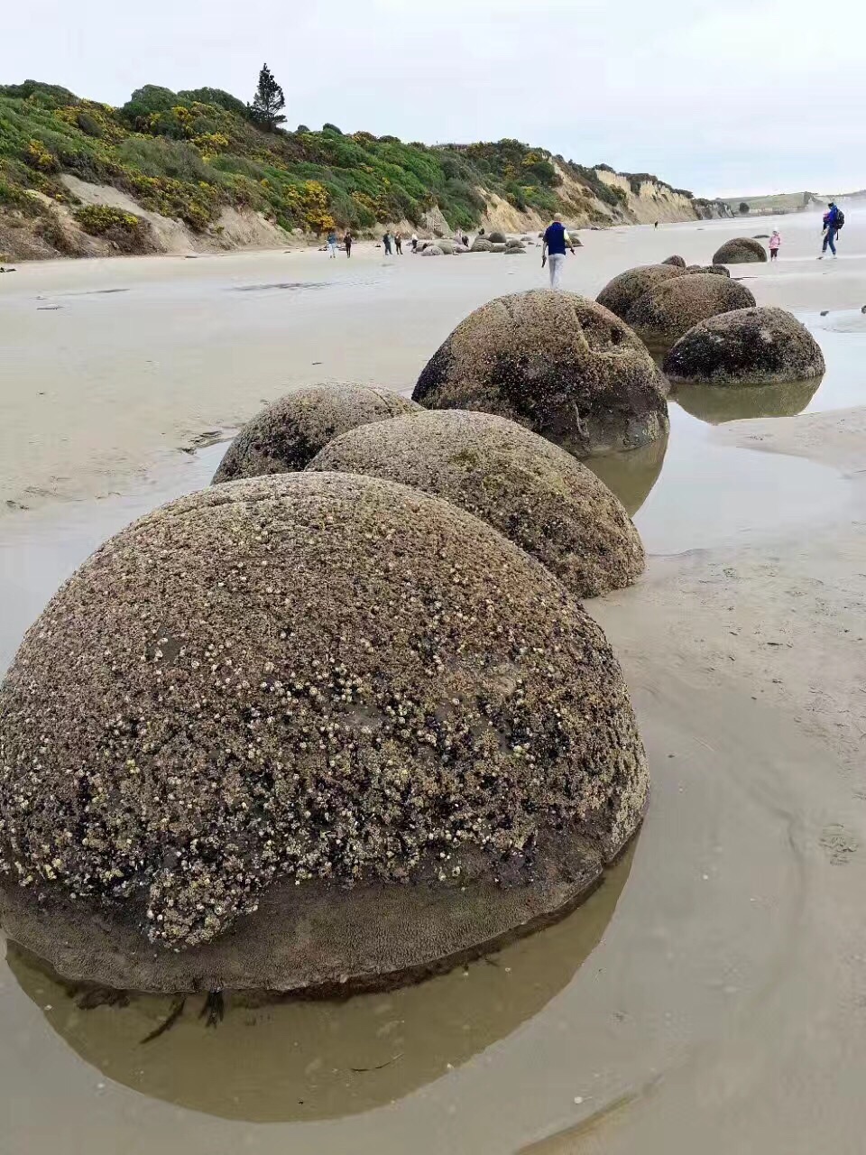 摩拉基海滩大巨石