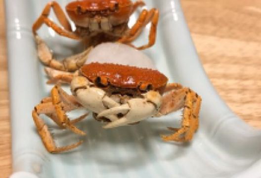 拓寿司美食图片