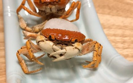 拓寿司