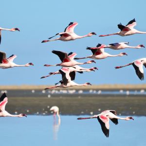Walvis Bay