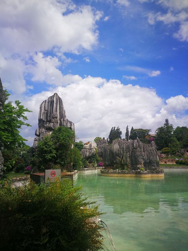 Stone Forest