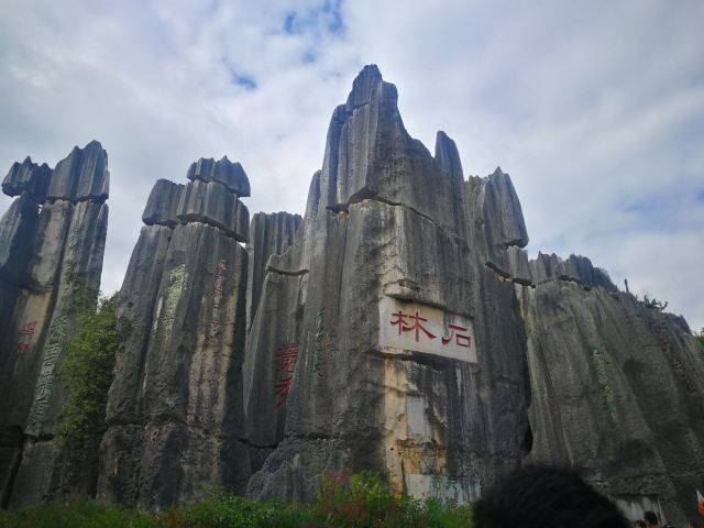 Stone Forest