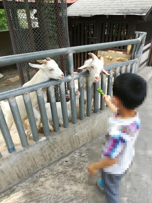 Heping Park
