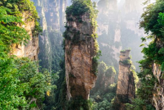 张家界国家森林公园一日游入园+环保车VIP通道-套餐ADEF【[独有服务]可选景区VIP服务，快速入园+6大环保车快速通道，减少排队，深度纯玩】