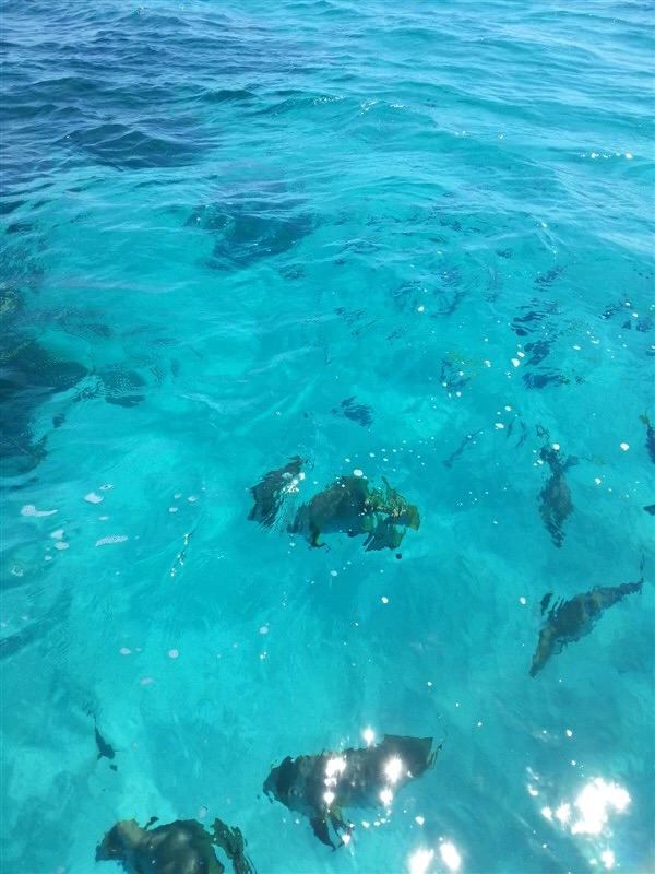Green Island