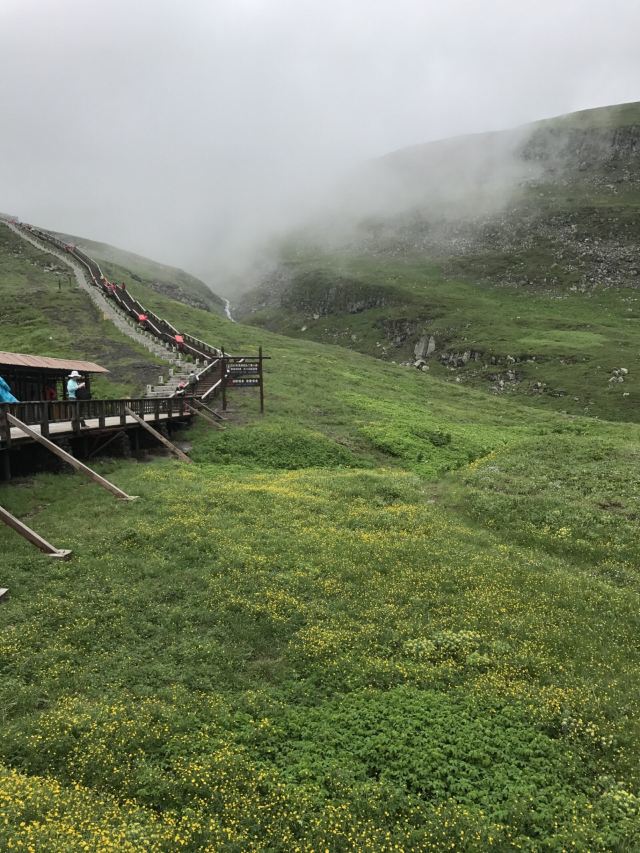West Slope of Changbai Mountain Scenic Area