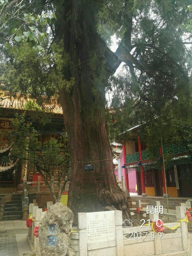 헤이룽탄 공원