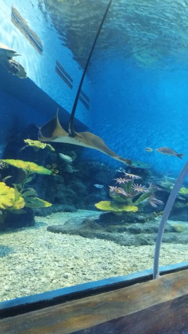 Kunming Huadu Ocean World