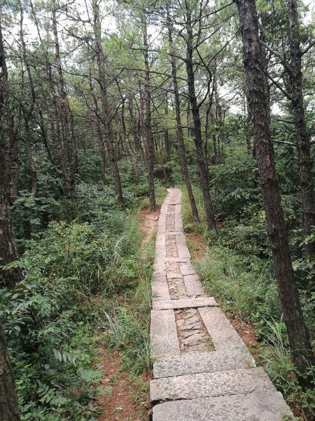 仙華山