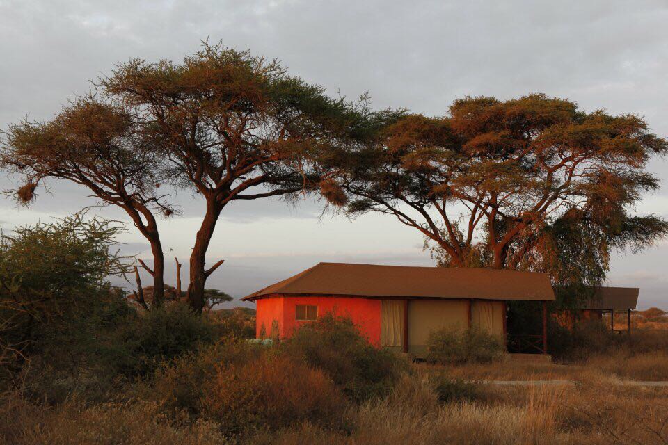 大气恢弘的肯尼亚酒店：Amboseli Kilima Safari Camp