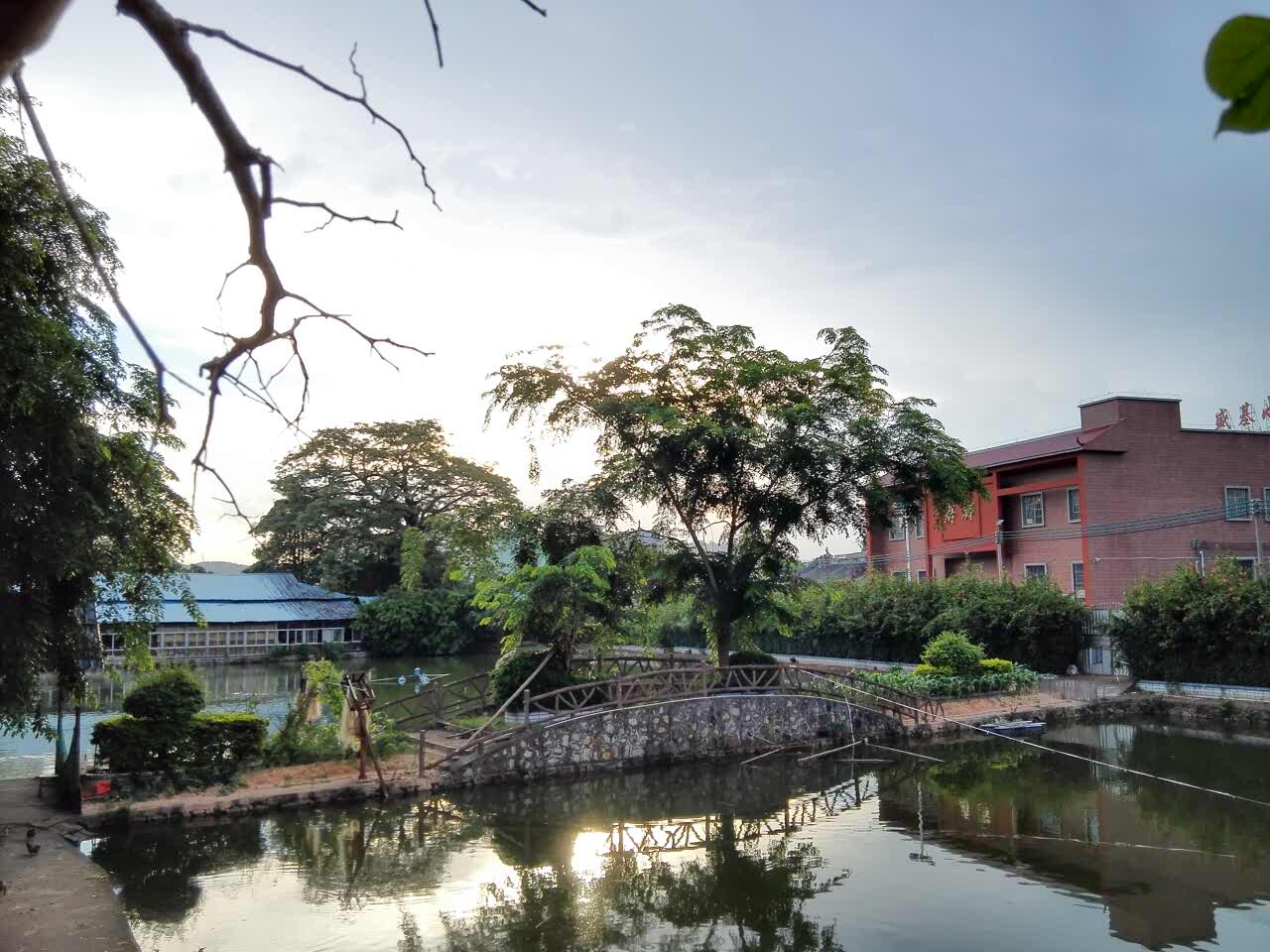 麦当劳(大岭山店)