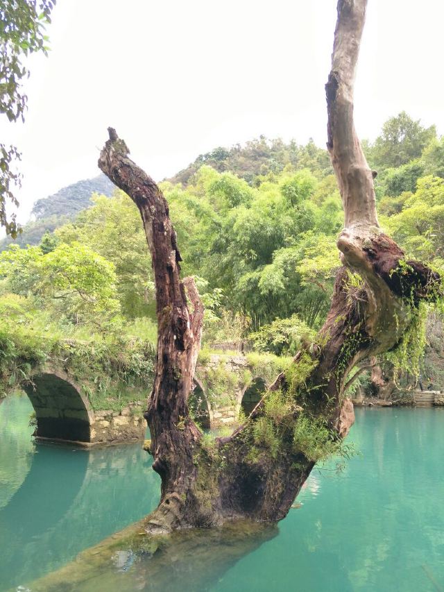 Libo Seven Small Arches (Xiaoqikong) Scenic Area