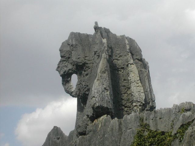 Stone Forest