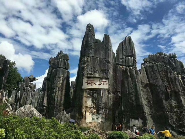 Stone Forest