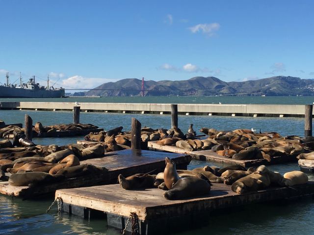 Fisherman's Wharf