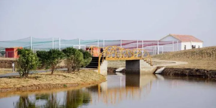 大豐丹頂鶴珍禽園