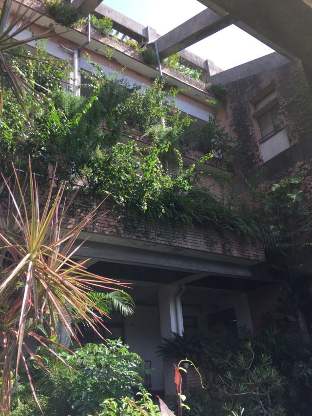 Taiwan University