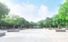上涌果树公园-广州-doris圈圈