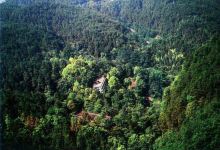 东山国家森林公园景点图片