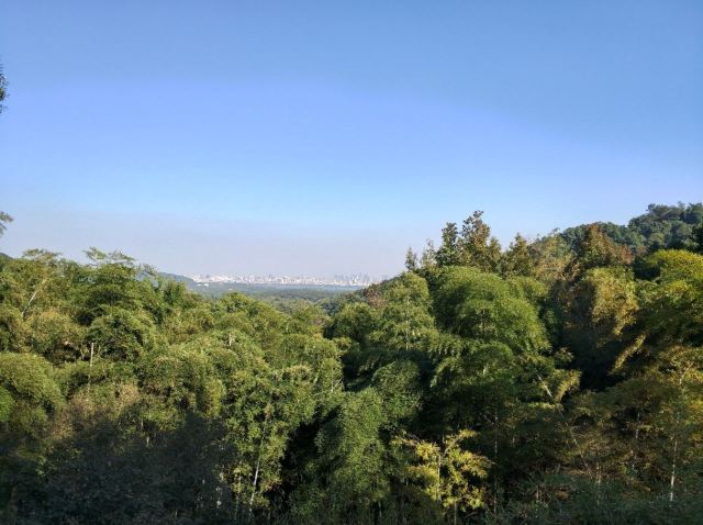 Hangzhou Lingyin Temple and Feilai Peak Scenic Spot