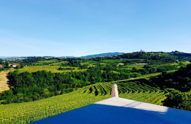 Restavracija Panorama餐厅图片