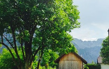 Gasthof Seehaus餐厅图片