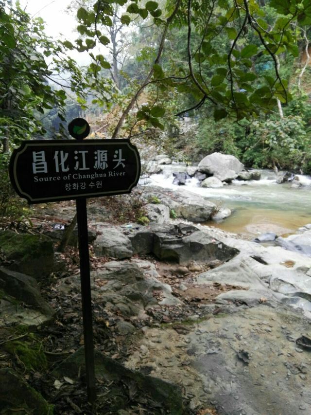 Wuzhishan Tropical Rainforest