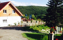 Gasthaus Steinerhof餐厅图片
