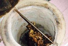 Meltem Buryan Salonu美食图片