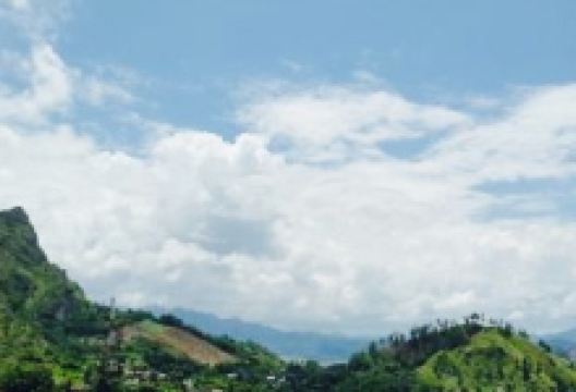 Panorama美食图片