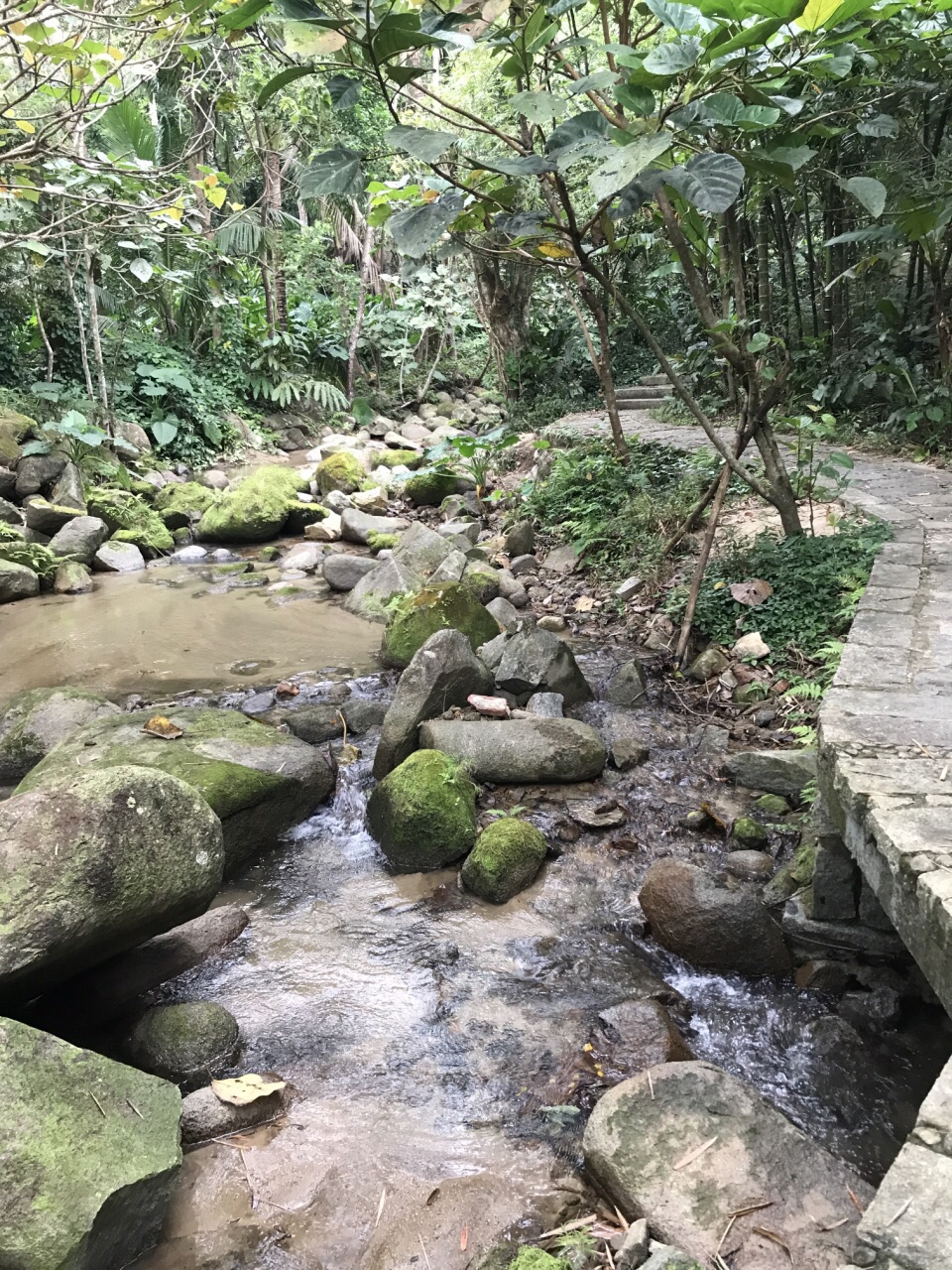 来七仙岭泡个温泉吧