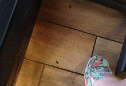 Jerry's Foods美食图片