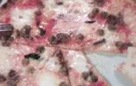 Ristorante Pizzeria Pantagruel