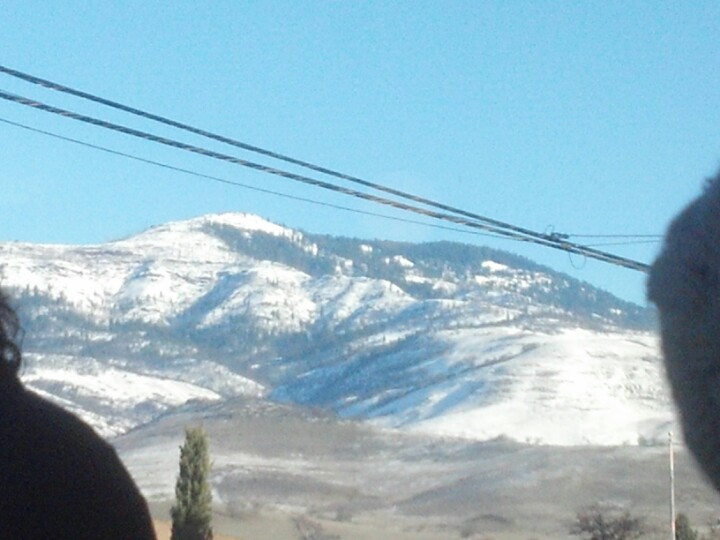 Oak Tree Northwest Bar & Grill餐厅图片