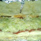 Steel City Sandwich Company