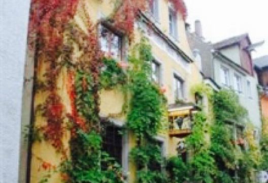 Winzerstube zum Becher美食图片