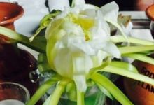 Melania Restaurant美食图片