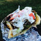 Gyro Place