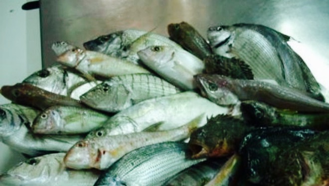 Osteria del Seminario餐厅图片