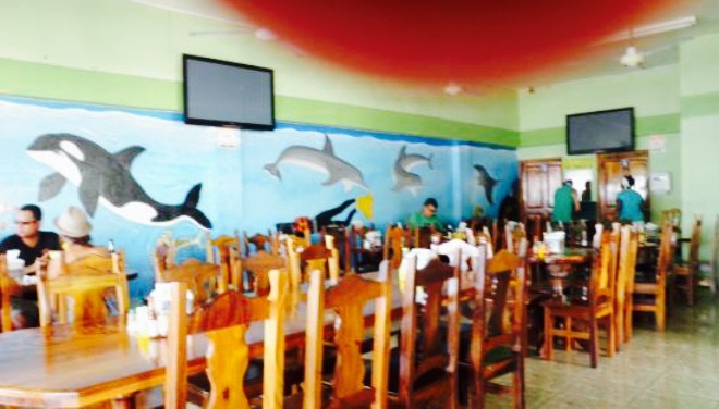 Restaur anteLa Ostra餐厅图片