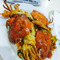 Rumah Makan Torani